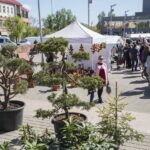 V. BULAIČIO nuotraukos