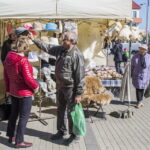 V. BULAIČIO nuotraukos