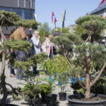 V. BULAIČIO nuotraukos