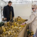 V. BULAIČIO nuotraukos