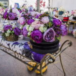 V. BULAIČIO nuotraukos