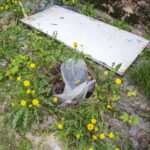 V. BULAIČIO nuotraukos