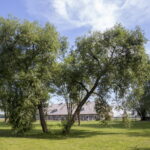 V. BULAIČIO nuotrauka