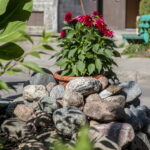 V. BULAIČIO nuotraukos