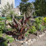 V. BULAIČIO nuotraukos