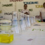 V. BULAIČIO nuotraukos