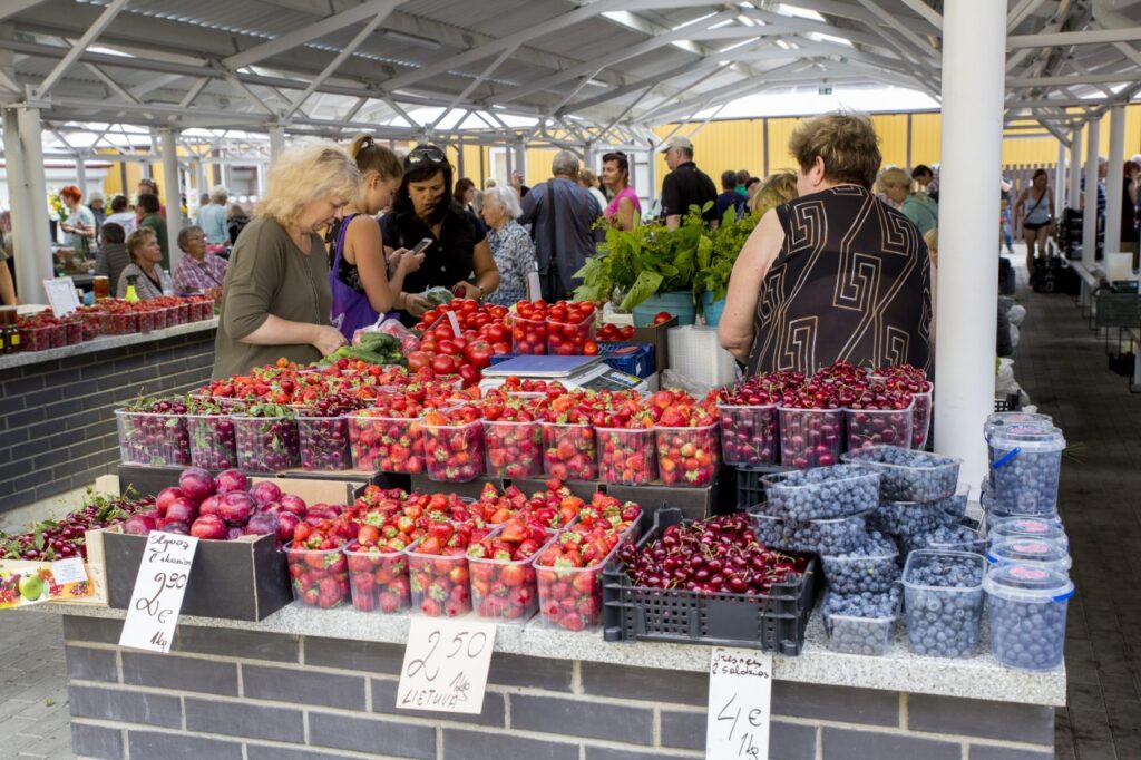Lietuvos turgavietės išgyvena renesansą. Dar prieš kelerius metus į turgų žmonės dažniau užsukdavo iš įpratimo, o dabar – ieškoti išskirtinių produktų, šviežio lietuviško derliaus ir malonaus aptarnavimo. Panevėžio centrinė turgavietė, prieš dvejus metus pradėjusi keisti savo rūbą, dabar klientus pasitinka atnaujinta ir išgražėjusi. Modernumo gūsis kardinaliai pakeitė turgavietės išvaizdą, bet jos išskirtinumas – dėmesys kiekvienam klientui – išliko.