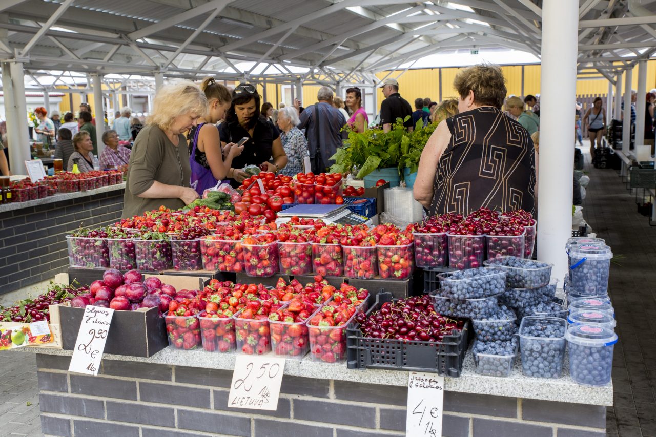 Lietuvos turgavietės išgyvena renesansą. Dar prieš kelerius metus į turgų žmonės dažniau užsukdavo iš įpratimo, o dabar – ieškoti išskirtinių produktų, šviežio lietuviško derliaus ir malonaus aptarnavimo. Panevėžio centrinė turgavietė, prieš dvejus metus pradėjusi keisti savo rūbą, dabar klientus pasitinka atnaujinta ir išgražėjusi. Modernumo gūsis kardinaliai pakeitė turgavietės išvaizdą, bet jos išskirtinumas – dėmesys kiekvienam klientui – išliko.
