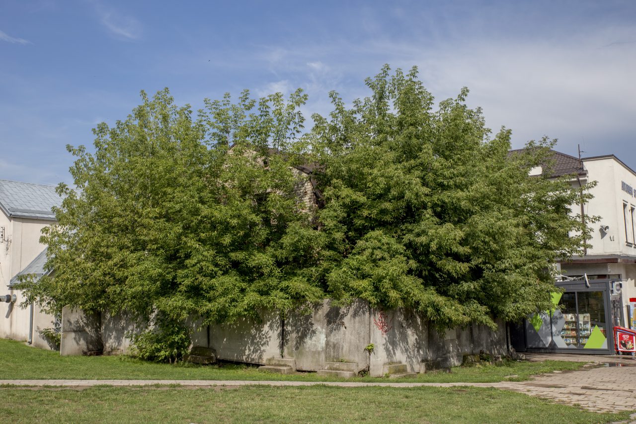 Istoriniame, bet į Panevėžį atvykstančiuosius gąsdinančiame autobusų stoties vaiduokliu virtusiame apleistame pastate – makabriškas radinys.