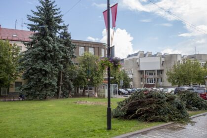 Panevėžio širdyje, centrinėje aikštėje darbininkai nupjovė dvi didžiules egles. Dar daugiau medžių čia turėtų kristi pradėjus įgyvendinti šios aikštės rekonstrukcijos projektą.