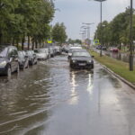 V. BULAIČIO nuotrauka