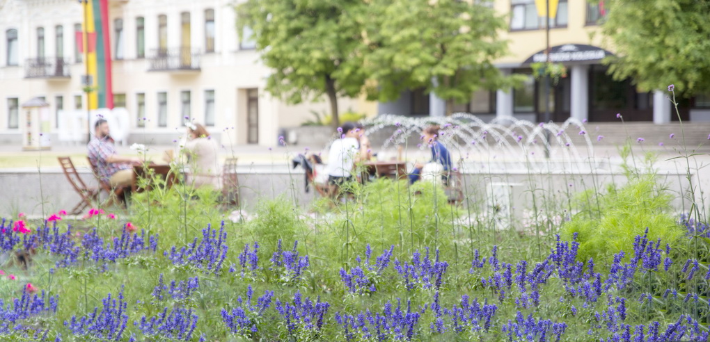 Savaitgalį sinoptikai žada puikius orus, bet įspėja: vienai dienai atplūs tikras karštis.