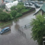 D. SAVICKIENĖS nuotrauka