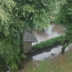 D. SAVICKIENĖS nuotrauka