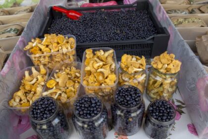 Mėlynių, aviečių indeliais nukloti automobiliai ant kelio bei miško gėrybėmis apsistatę turgaus prekybininkai skelbia, kad prasidėjo uogų ir grybų metas. Nors pastariesiems ši vasara kol kas dar sausoka ir geriems grybautojams pasirodo tik pirmosios voveraitės.