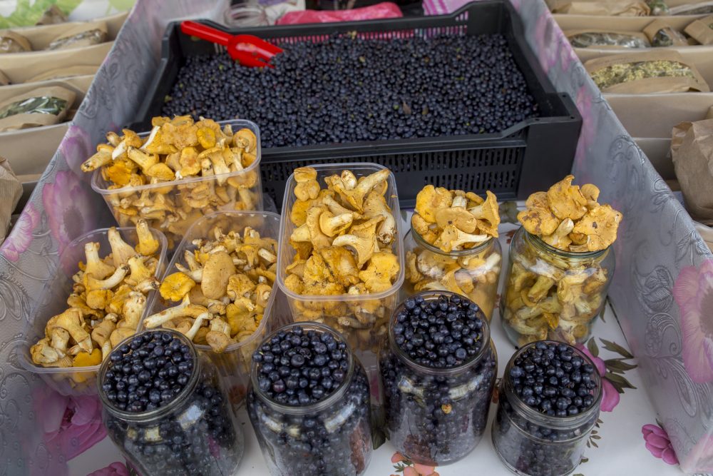 Mėlynių, aviečių indeliais nukloti automobiliai ant kelio bei miško gėrybėmis apsistatę turgaus prekybininkai skelbia, kad prasidėjo uogų ir grybų metas. Nors pastariesiems ši vasara kol kas dar sausoka ir geriems grybautojams pasirodo tik pirmosios voveraitės.