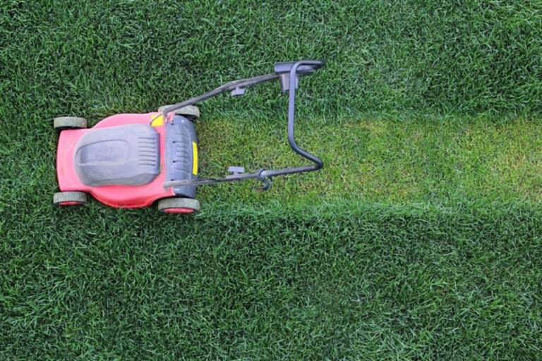 Nei spynos, nei kitos apsaugos priemonės vagims – ne kliūtis. Patykoję, kad nieko nėra namuose, ilgapirščiai neša tai, ką galima lengviausiai parduoti.