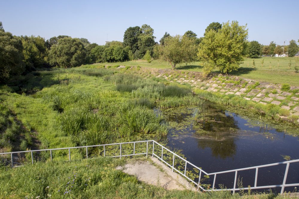 Užsitęsę karšti ir sausi orai jau sukėlė gamtos kataklizmus. Panevėžyje fiksuojamas upėms neįprastas reiškinys – vietomis jau iki dugno nusekusiame Nevėžyje dūstančios žuvys.
