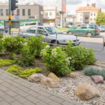 M. GARUCKO nuotraukos