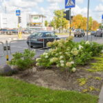 M. GARUCKO nuotraukos