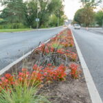 M. GARUCKO nuotraukos