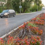 M. GARUCKO nuotraukos