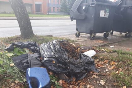 Netikėtas, dūzgiantis ir saldus radinys Panevėžyje, Beržų gatvėje. Buitinių atliekų konteineryje kažkas drastiškai bandė atsikratyti maišo su medaus pilnais vaško koriais ir krūva gyvų bičių.