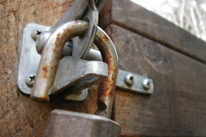 Prieš savaitgalį apskrityje siautėję vagys smulkaus grobio neieškojo.