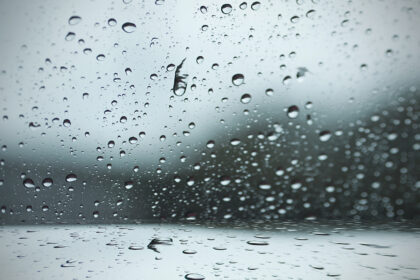 Sunku būtų atsiminti visus epitetus, kurių nusipelnė šių metų vasara ir rudens pradžia: nepakartojami, rekordiškai šilti, auksiniai (čia Palangos verslininkų nuomonė).