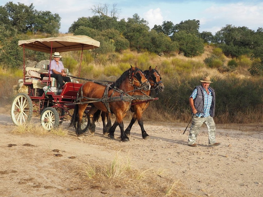 ASMENINIO ARCHYVO nuotr.