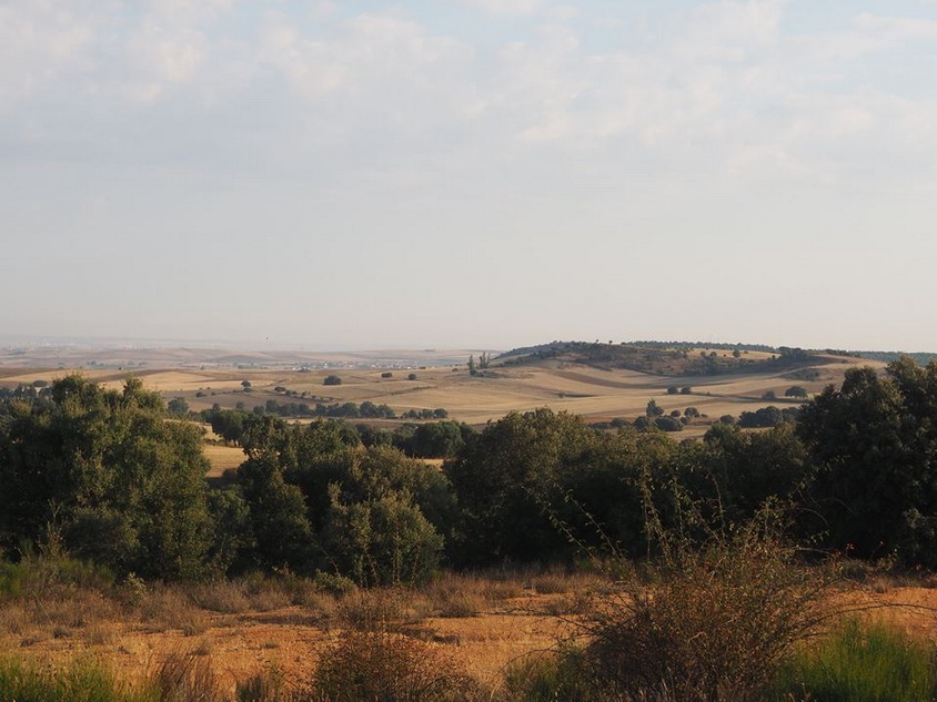 ASMENINIO ARCHYVO nuotr.