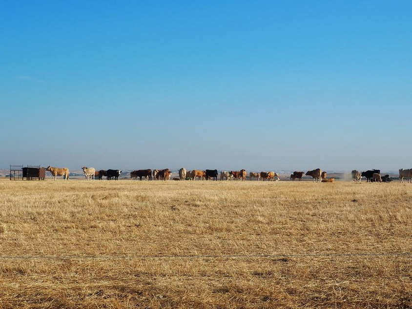 ASMENINIO ARCHYVO nuotr.