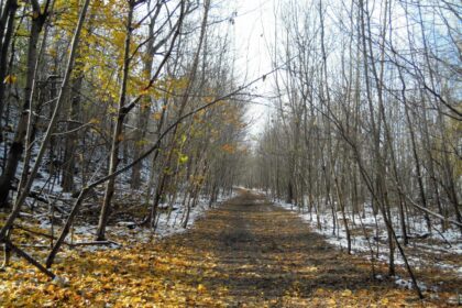 Sužinoti ateitį žmonės nori tam, kad labiau pasitikėtų dabartimi. Todėl daugumos akys krypsta į astrologiją ir meteorologiją.
