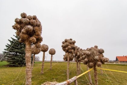 Naujamiesčio miestelio pakrašty jau trylika metų kiekvieną rudenį po atviru dangumi išauga įspūdingų šiaudinių skulptūrų parkas. Net dešimtmetį prieš Vėlines kelis mėnesius kurti šedevrai iš šiaudų virsdavo unikalia ugnies, muzikos ir šokio misterija, sutraukdavusi didžiules minias smalsuolių.