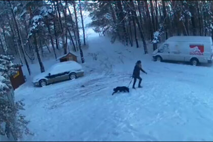 Panevėžio gyvūnų globos draugijos prieglauda Kaimiškyje dažnai sulaukia slaptų svečių, čia atsikratančių augintiniais. Tačiau sekmadienio vakarą į prieglaudą užsukusi lankytoja pranoko visus.