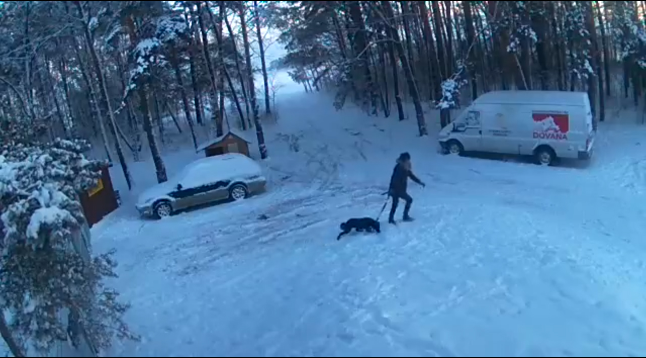 Panevėžio gyvūnų globos draugijos prieglauda Kaimiškyje dažnai sulaukia slaptų svečių, čia atsikratančių augintiniais. Tačiau sekmadienio vakarą į prieglaudą užsukusi lankytoja pranoko visus.