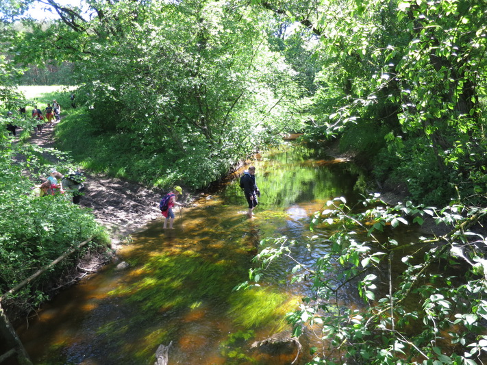 Sulaukusi pavasario Linkava vėl kvies grožėtis savo vingiais. KREKENAVOS REGIONINIO PARKO direkcijos archyvo nuotr.