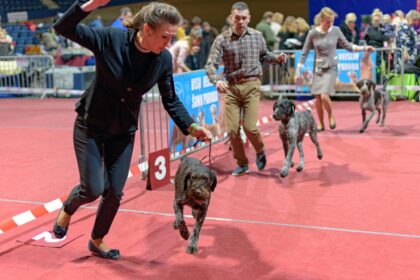 Argi jie nenuostabūs, tie mūsų draugai?