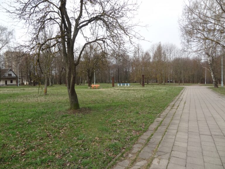 Pasisėdėjimas gryname ore vienai jaunai moteriai baigėsi smūgių kruša.