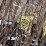 M. GARUCKO nuotraukos