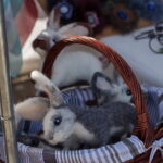 M. GARUCKO nuotraukos