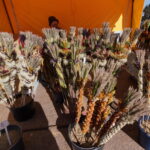 M. GARUCKO nuotraukos