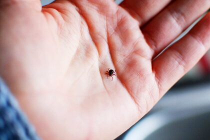 Smagų pasivaikščiojimą pavasariniame miške viena Uliūnų gyventoja jau laikys ekstremaliu pomėgiu.