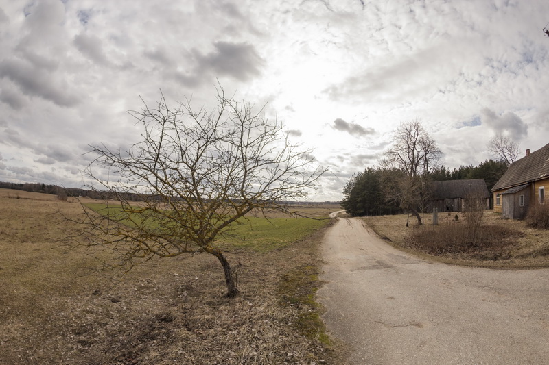 Sodeliai. M. GARUCKO nuotr.