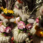 M. GARUCKO nuotraukos