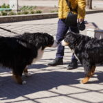 M. GARUCKO nuotraukos