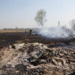 M. GARUCKO nuotraukos