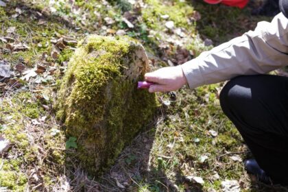 Tereikėjo žengti vos keletą žingsnių už Kultūros vertybių registre dar prieš 26-erius metus įrašytos senųjų žydų kapinių ribos Naujamiestyje, Panevėžio rajone, ir paaiškėjo, kad šis istorinis paveldas dešimteriopai didesnis, nei manyta. O įdomiausia, kad apie plačią teritoriją su galbūt 19 a. pradžioje statytais antkapiais iki šiol nieko nežinojo nė patys miestelio gyventojai.