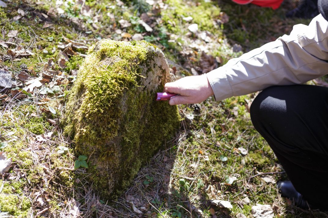 Tereikėjo žengti vos keletą žingsnių už Kultūros vertybių registre dar prieš 26-erius metus įrašytos senųjų žydų kapinių ribos Naujamiestyje, Panevėžio rajone, ir paaiškėjo, kad šis istorinis paveldas dešimteriopai didesnis, nei manyta. O įdomiausia, kad apie plačią teritoriją su galbūt 19 a. pradžioje statytais antkapiais iki šiol nieko nežinojo nė patys miestelio gyventojai.