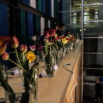 I. STULGAITĖS nuotraukos